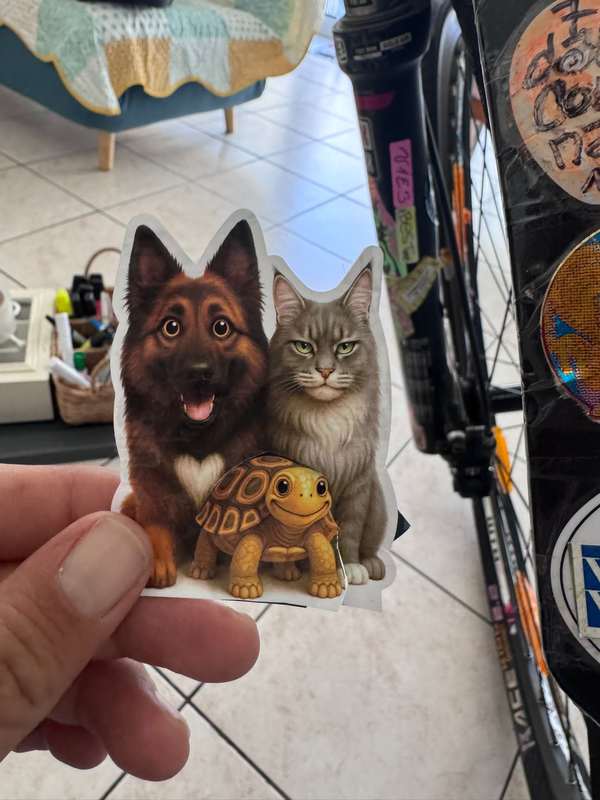 Autocollant chien chat et tortue, touche tendre